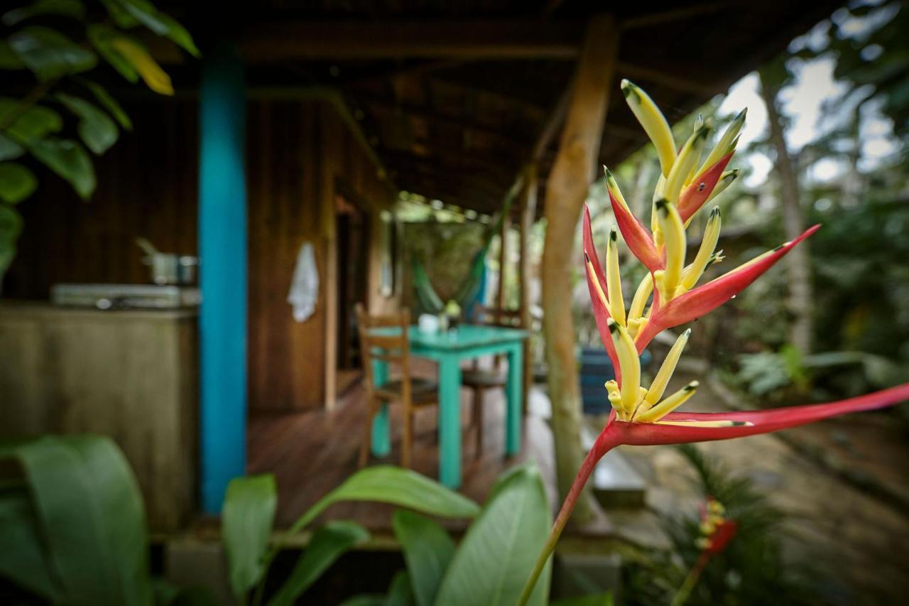 Casa Vana Hiriketiya Диквела Екстериор снимка